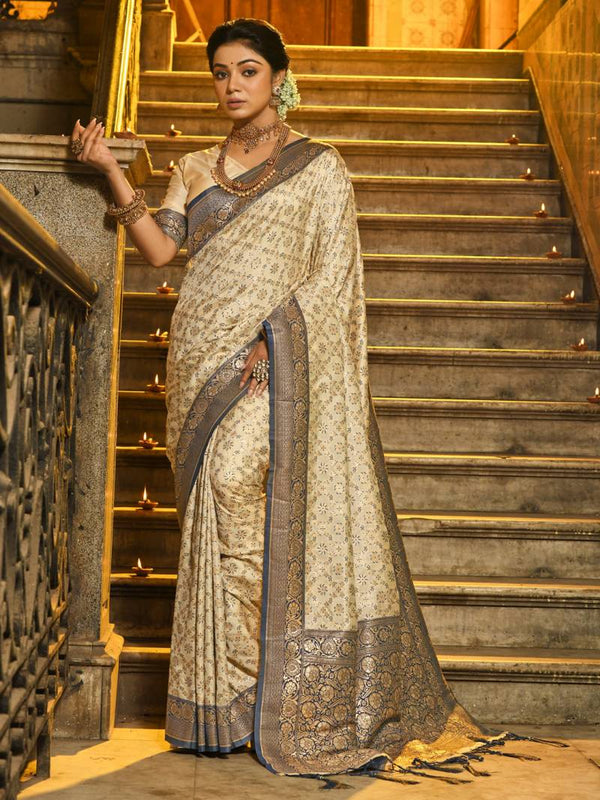 Rajvastra Legacy: The Essence of Royal Drapes